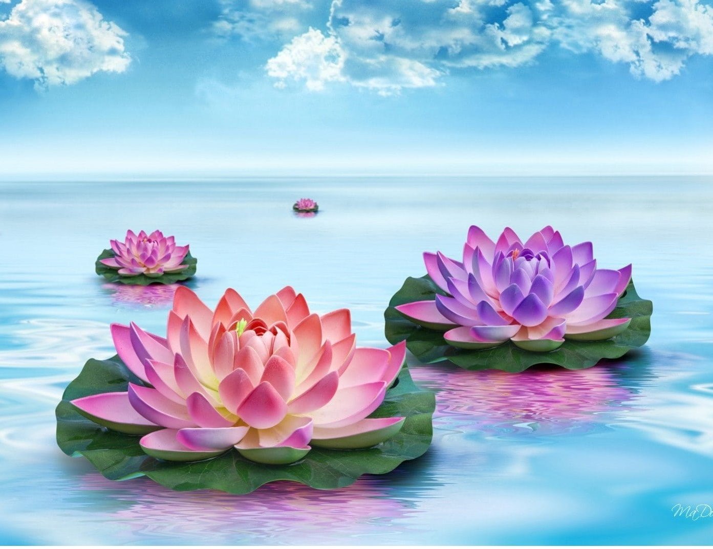 Lotus Flower Energy Pendant - 7196 Ions/Cm3 - Image 9